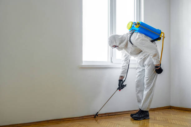 Pest Control for Hotels in Morrisonville, NY